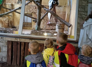 Wycieczka Chmurek do ZOO