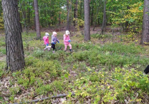 10. Dzieci chodzą po lesie.