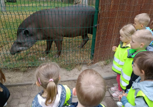 23. Dzieci oglądaja tapira