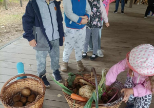 02 Dzieci szukają ziemniaków w koszu z warzywami