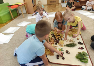 Dzieci segregują liście na dywanie