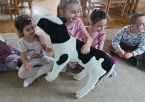 08 Dzieci podają sobie krowę