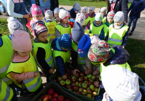 Po chwili odpoczynku, każdy przedszkolak mógł skosztować jabłuszko.