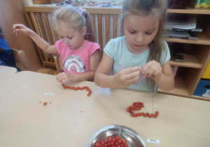 Dziewczynki w skupieniu nawlekają jarzębinę.