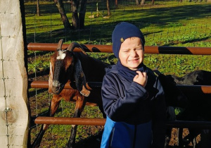 04 Chłopiec pozuje do zdjęcia z kozami