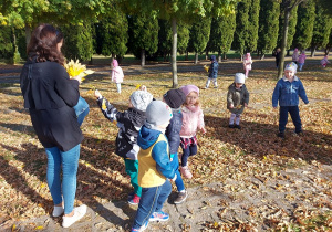 Przedszkolaki zbierają liście do jesiennego bukietu