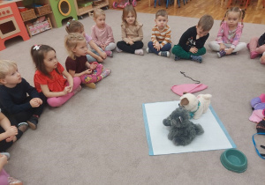 Maluszki dowiadują się jak należy dbać o małe szczenięta i kocięta.