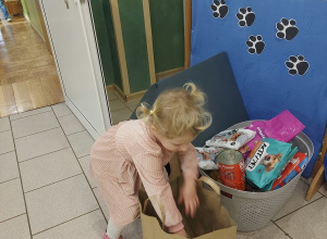 Bliżej pieska - zbiórka karmy dla schroniska w Radomsku
