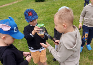 Chłopcy oglądają mieszkańców łąki