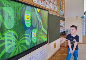 Zdjęcie 12 na 12