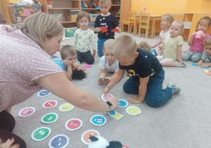Zdjęcie 5 na 28