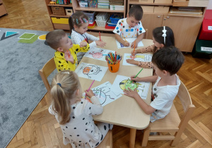 Zdjęcie 15 na 25