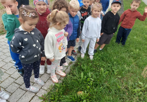 Zdjęcie 2 na 30