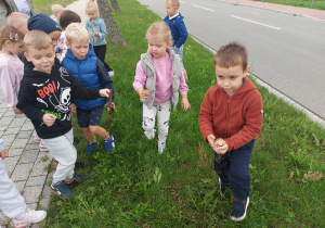 Zdjęcie 3 na 30