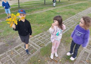 Zdjęcie 13 na 30