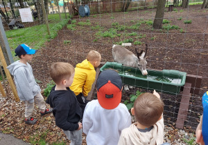Przedszkolaki oglądają małego renifera.