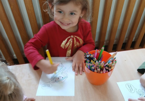 Zdjęcie 12 na 12