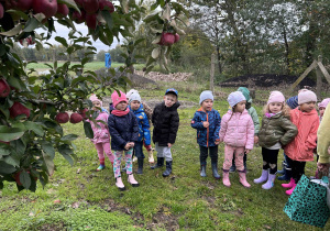 Dzieci stoją w sadzie.