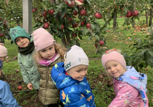 Dzieci oglądają jabłuszka.