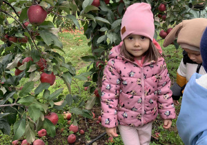 Dziewczynka przy jabłoni.