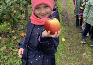 Dziewczynka trzyma jabłko.