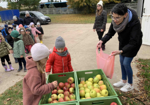 Dziewczynki wybierają jabłka.