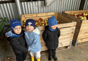 Dzieci stoją przy skrzyniach z jabłkami.