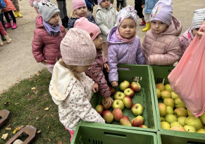 Dziewczynki wybierają jabłka.