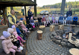 Słoneczka siedzą na ławkach.