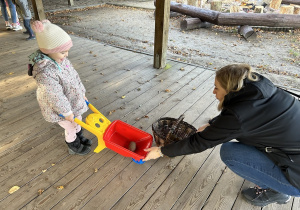 Dziewczynka trzyma taczkę.