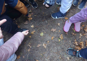 Dzieci stoją przy śladach leśnych zwierząt.
