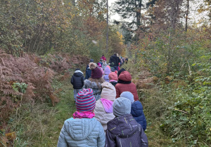 Dzieci z grupy 6 latków idą do lasu.