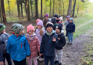 Dzieci z Chmurek obserwują las.