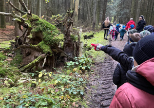 Dzieci podziwiają przyrodę w lesie.