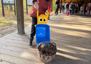 Chłopiec wysypuje z taczki ziemniaka.