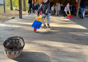 Chłopiec trzyma taczkę z ziemniakiem.
