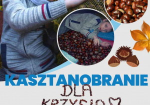 Plakat informujący o zbiórce kasztanów.