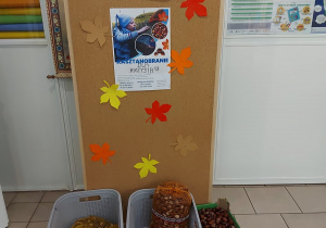 Zdjęcie tablicy informującej o zbiórce kasztanów.