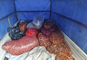 Worki z kasztami podczas odbioru prez organiaztora.