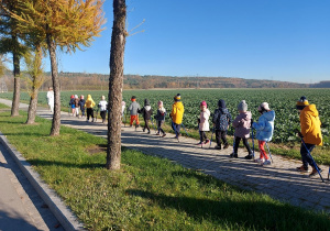 Przedszkolaki idą za nauczycielem z kijkami