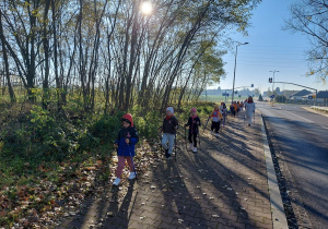 Przedszkoalki idą z kijkami po chodniku