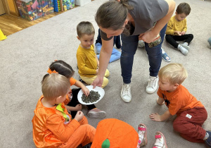 Degustacja pestek z dyni.