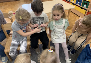 Chłopiec ogląda mrówkę.