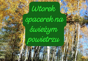 Zdjęcie 16 na 27