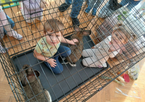 07. Dzieci w klatce głaskają króliki.