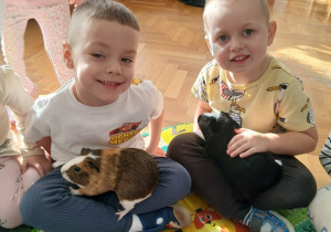 10. Chłopcy trzymają świnki morskie.