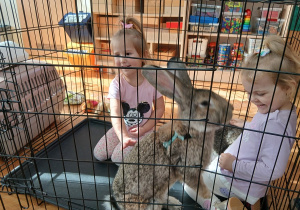 13. Dziewczynki w klatce głaskają króliki.