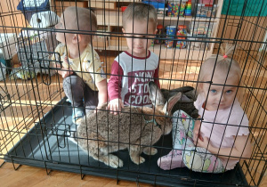 14. Dzieci głaskają zwierzęta.