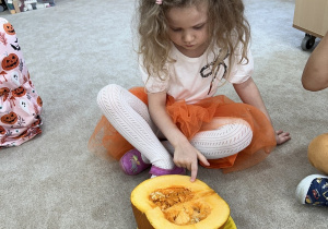 Określamy kształt i cechy dyni.