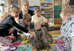 Dzieci karmią zwierzątka sałatą.
